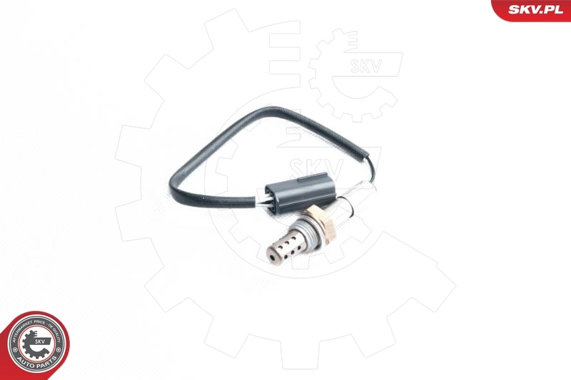 Oxygen Sensor